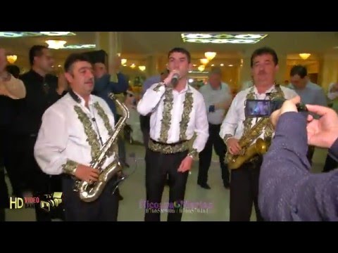 Live Alin Olan , Budoita , Dan , Bobi , Cristi si Telighentu Full HD Lugoj 1