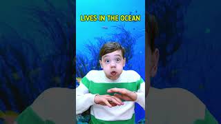 Download lagu Cara Menyenangkan untuk Belajar Tentang Hewan! #anak #belajar mp3 Download lagu Cara Menyenangkan untuk Belajar Tentang Hewan! #anak #belajar mp3