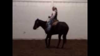 IMA  SUGAR KITTIE aka SUGAR 2006 AQHA MARE