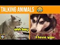 WOW These Cats And Dogs Can Speak English Animals Talking