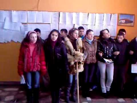 Grupul de colindatori ai Scolii cu clasele I-VIII Mierlau,jud Bihor