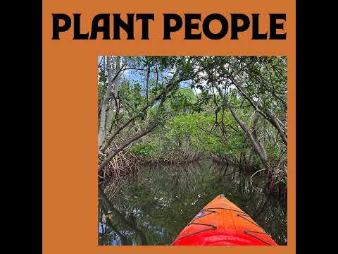 [TEMP] Mangrove Aerial Survey