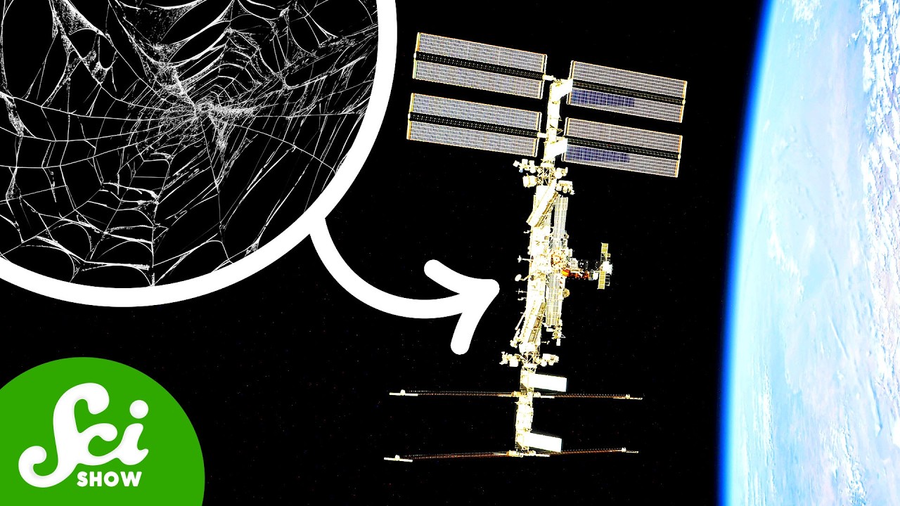 5 Weird Things We Figured Out On the ISS