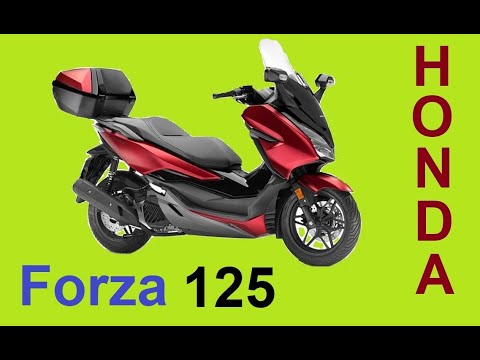 Honda Forza 125 - 2021 /  0 - 80 kmh Deutsch Maxi Roller  ESP + ABS - 15 PS - B196 A1 125er 125 ccm