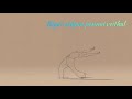 ️Mundhinam Parthene Vaaranam Aayiram Love Whatsapp Status ️