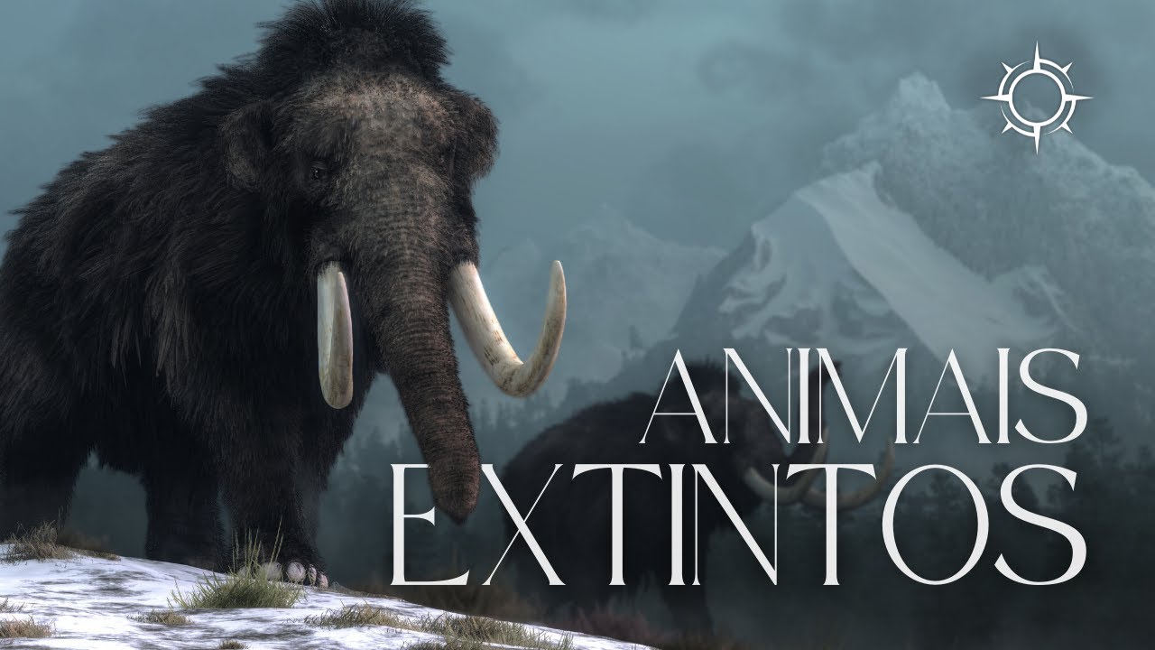 O que o Registro Fóssil Pode nos Dizer Sobre o Passado? | Mundo Animal | Origens