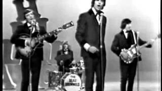 The Beau Brummels :::: I Want More Lovin'.
