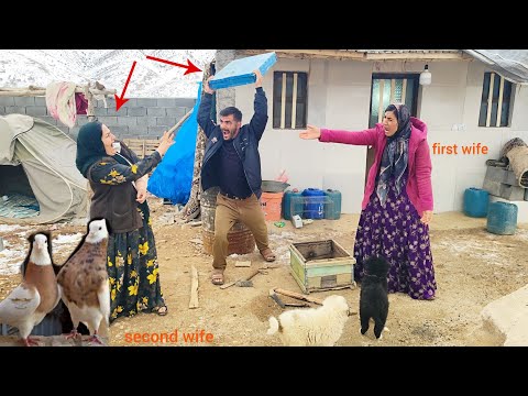 Nomadic Life: Does the Second Wife Allow the Husband to Build Pigeon Nests?