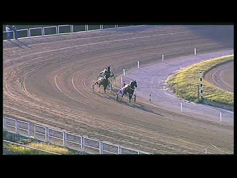 Trotto 21/08/2020 - 1ª prova di qualifica