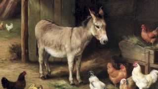 Yerba Buena - El Burrito / by Gergedan