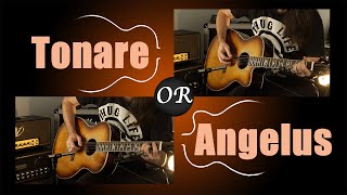 Video thumbnail for PRS Tonare or Angelus ? T40E vs A40E - NO TALKING by LadkorGuitars Vlad