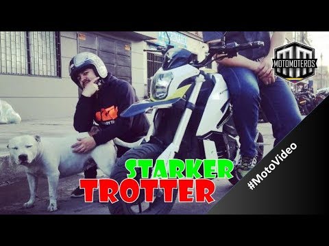 download lagu mp3 mp4 Trotter, download mp3 Trotter free download, download mp3 Trotter