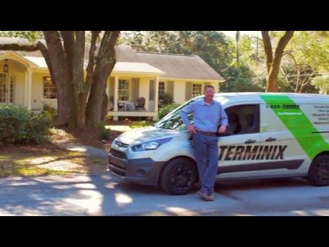Terminix Eden Nc