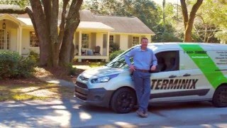 Our Termite Protection is Unmatched