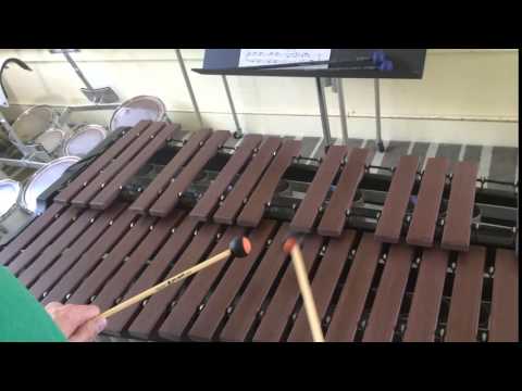 Bach Polonaise - Double Stops Section