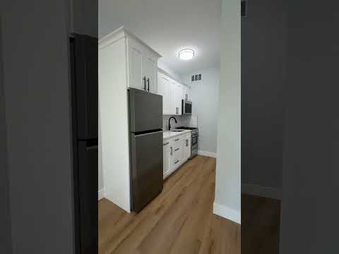 video 1