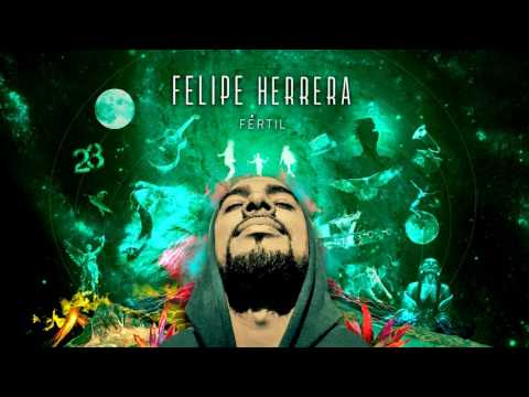 Felipe Herrera - Me Dejo Llevar (Audio)