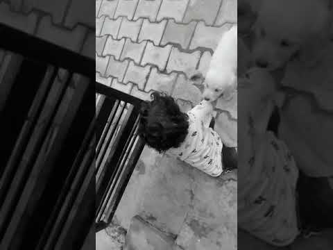 pratham bhola Create love...