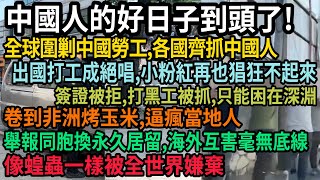 Re: [新聞] 花蓮光復14死32傷！王心凌「捐100萬賑災