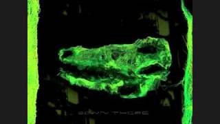 Avey Tare- Oliver Twist