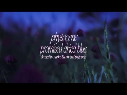 phytocene - promised dried blue (music video)