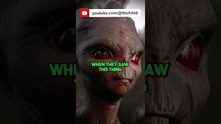 What James Fox Said is unbelievable 🤯 #jreclips #joerogan #jamesfox #alien #viral