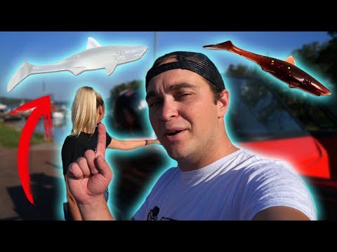 100% TRANSPARENT vs EVERY COLOR IN THE WORLD (Perch Fishing with Sara)