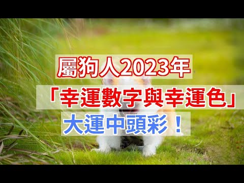 屬狗的幸運數字