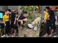 Quy Builds Huong Takes Care Of Her Little Daughter Cooks Family Meals Lý Thị Hương Daily Life