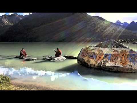 Matthieu Ricard interview