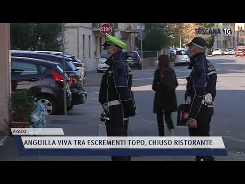 2022-05-27 PRATO - ANGUILLA VIVA TRA ESCREMENTI TOPO, CHIUSO RISTORANTE
