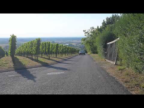 1987 BMW 325 eta Automatik Sport (E30) - Vorbeifahrt - view while driving by