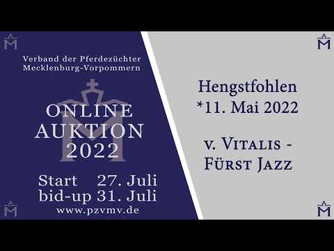 Nr. 1 Hengst v. Vitalis/Fürst Jazz/Sandro Hit