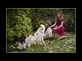 Dog With A Blog Best Heather Scenes