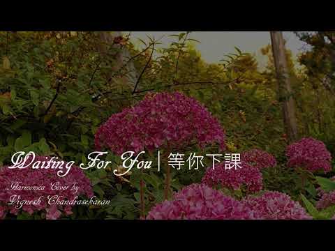Waiting For You by Jay Chou performed on harmonica