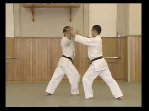 Yoshinkan Aikido - Yokomen Uchi Ikkajo Ni