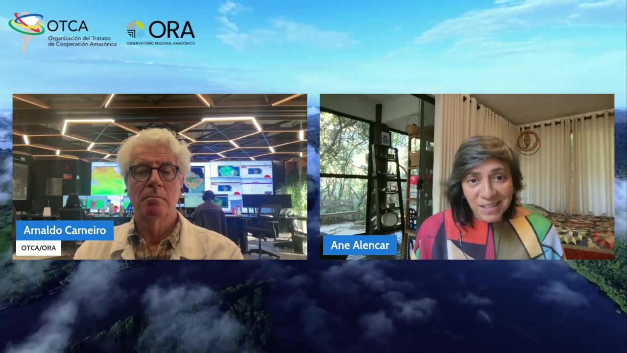 Webinário ORA com Ane Alencar | OTCA