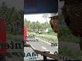 Privatebus Vs Tnstc Vs Keralartc