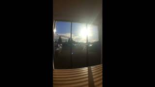 A Day in the Life of Plunkett Associates