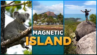 MAGNETIC ISLAND: 🇦🇺 Australia's MOST SPECIAL Little Island!? Koala & Wallaby PARADISE 🐨🦘