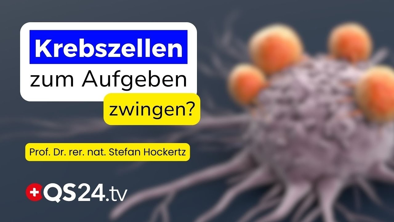 Huaier-Pilz im Fokus: Kann Naturmedizin neue Wege im Umgang mit Krebs eröffnen? | QS24 Gremium