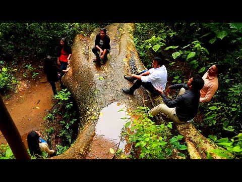 download lagu mp3 mp4 Natures Love, download mp3 Natures Love free downloadn, video klip Natures Love