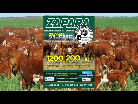 Remata Ernesto Esteves y Cia - Local Zapará Tacuarembó- 21 de Enero de 2026