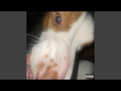 ndn giver (feat. Wridk)