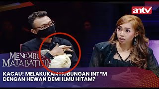 Download lagu Kacau! Melakukan Hubungan Int*m Dengan Hewan Demi Ilmu Hitam? | Menembus Mata Batin Eps 154 Full mp3 Download lagu Kacau! Melakukan Hubungan Int*m Dengan Hewan Demi Ilmu Hitam? | Menembus Mata Batin Eps 154 Full mp3