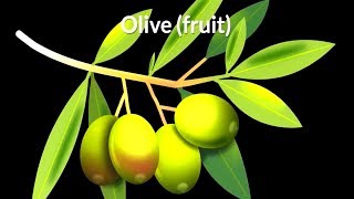 Olive fruit (Olea europaea)