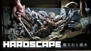 龍王石と流木でコテコテレイアウト【Hardscape Aquarium】