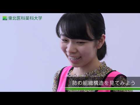 薬学科 東北医科薬科大学オープンキャンパス2019