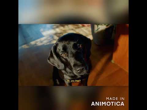 OnePlus Nord N100 Midnight Frost Unlocked Smartphone​4 64GB, US Version(To Buy Link In Description)