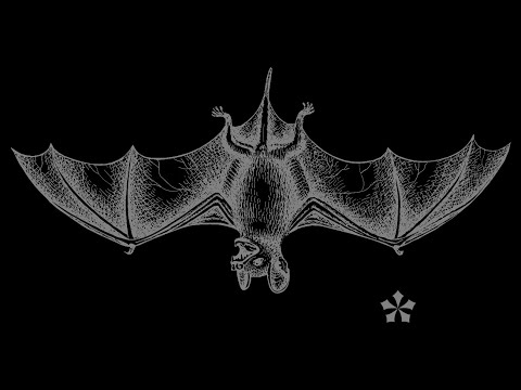 Y*T - LIFEINEAST WIT LANCEY FOUX i!